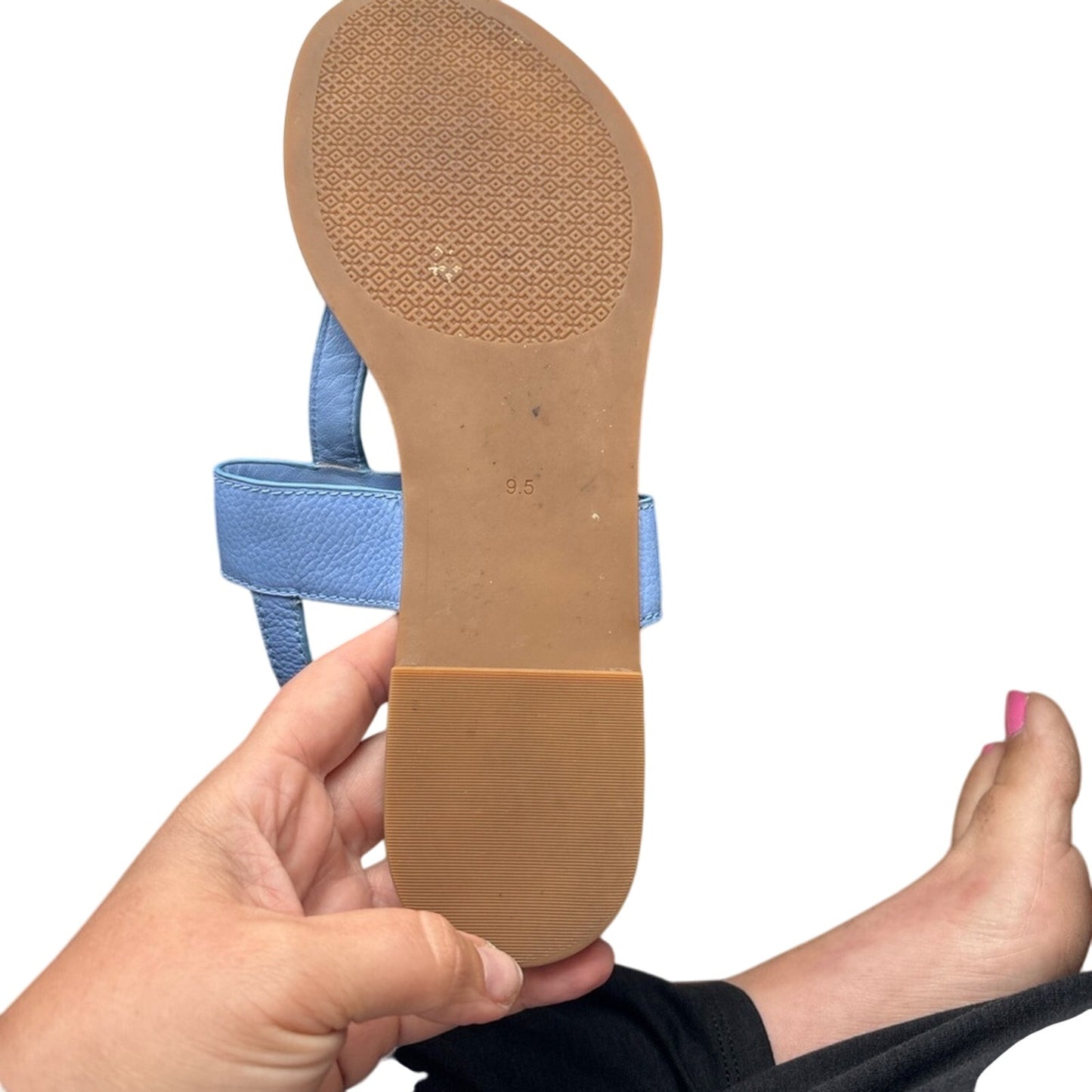 Tory Burch Light Blue Sandals with Gold Emblem Cornflower Blue 9.5